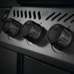 Napoleon Freestyle 365, 3 Hauptbrenner, Graphit 16 Napoleon Freestyle 365, 3 Hauptbrenner, Graphit -Napoleon Verkaufsgeschäft napoleon freestyle 365 3 hauptbrenner graphit 2f1eb5625778b5d7f71403fa55cda22e