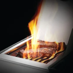 Napoleon Rogue XT 425, Edelstahl -Napoleon Verkaufsgeschäft napoleon rogue xt 425 edelstahl 357816efd73bc9461c871d909ef1c9db